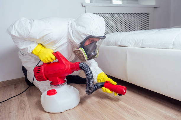 Best Wasp Removal Services  in Woodridge, IL