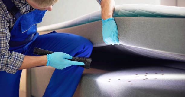 Best Pest Control Near Me  in Woodridge, IL