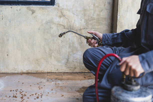 Best Mosquito Control Services  in Woodridge, IL